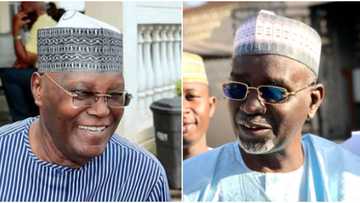 2023: Atiku returns to Nigeria to receive Shekarau into PDP