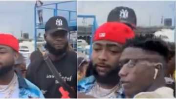This is not cool: Reactions as singer Davido's bodyguard pushes fan away for trying to take selfie with star