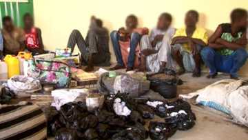 An kama wasu manyan masu safarar miyagun kwayoyi a Borno (Hotuna)