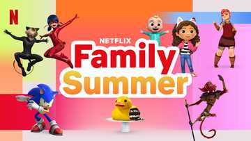 Miraculous: Ladybug & Cat Noir, The Movie Joins a Fun-Filled Slate of New Kids and Family Films and Series on Netflix This Summer