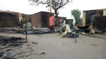An yi wa dagaci kisar gilla a Kaduna