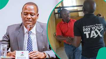 No Need to Panic: Oyedele allays fear of investors over capital gains tax