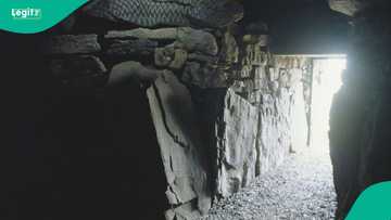 Ancient cave art in Ireland points to first humans coming from Wales 15,000 years ago