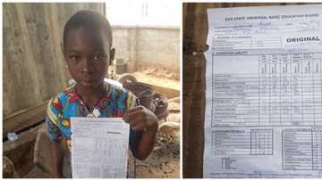 Brilliant Girl: Daughter of a food seller in Auchi scores 90% in 8 out of 9 subjects in Edo primary sSchool