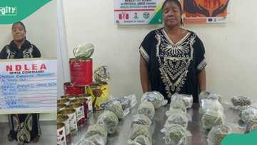 NDLEA uncovers drugs in chocolate tins at Lagos airport