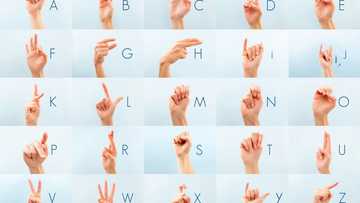 Comment apprendre la langue des signes: suivez le guide
