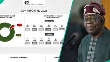 Top 10 performing sectors driving Nigeria’s economic growth