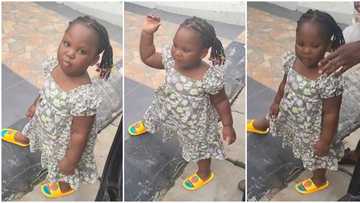 Una dey use internet children play? Intelligent little girl with shiny black skin challenges adult in video