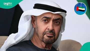 UAE announces 15 items foreigners can bring into the country without paying customs duties