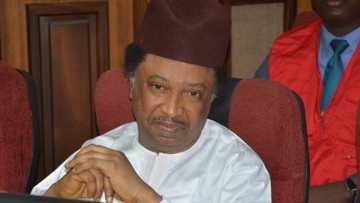 Shehu Sani did not ask me for bribe, EFCC witness tells Federal High Court