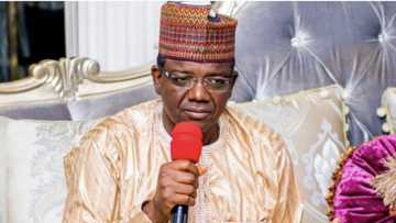 No mercy for you again, northern governor tells bandits, vows to deal with sponsors