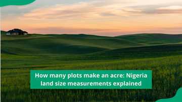 How many plots make an acre: Nigeria land size measurements explained