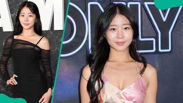 Evelyn Ha’s biography: What is known about the social media star