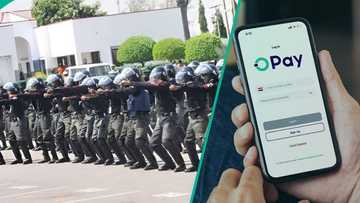 OPay drags DSS, police into probe of viral Nigeria shutdown rumour