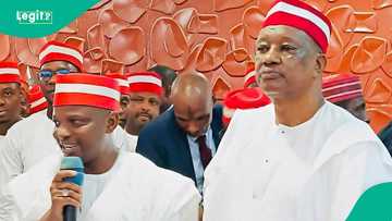 Mustapha Rabiu: Yaron Kwankwaso ya samu takarar mataimakin gwamna a Kano