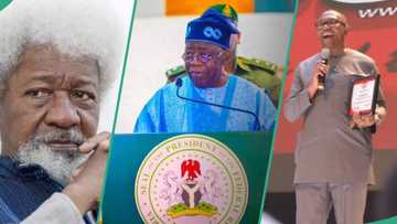 After knocking Peter Obi, Tinubu honours Wole Soyinka, gives reason