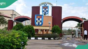 Another ABUAD graduate admitted for fully funded PhD programme without Master’s degree in US