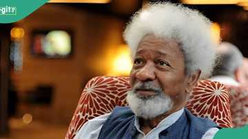 Never knew I would live to be 90, Wole Soyinka says, opens up on alleged invasion of radio station