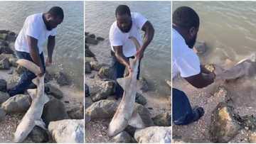 Ba ka da tukunya ne? 'Yan Najeriya sun tasa wani a gaba bayan ya kama kifi ya mai dashi ruwa