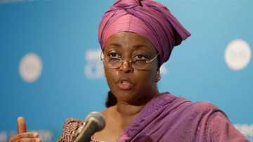 UK detectives arrive Nigeria over probe of Diezani