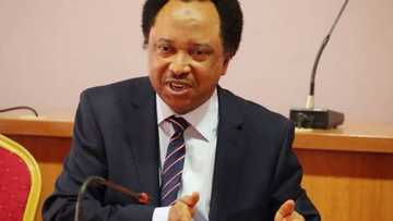 Shehu Sani: Idan An Kasa Nuna Makarantun da Tinubu ya Halarta, An ga Wadanda Ya Gina