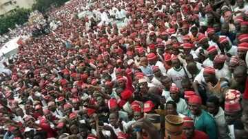 Tsohon Gwamnan Kano, Rabi'u Kwankwaso ya karyata rade-radin shirin komawa APC