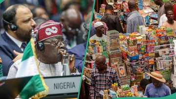 Yadda kaya suka yi mummunan tashi watanni 8 da shigar Tinubu Aso Villa