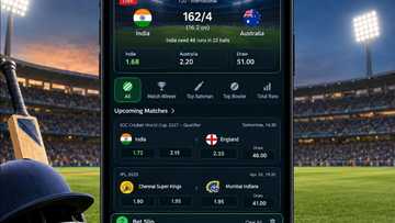 Cricket Betting App: How to bet on sport using betting apps