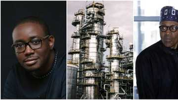 Oil Expert Explains Why Nigerian Government Can Never Operate Refinery Successfully