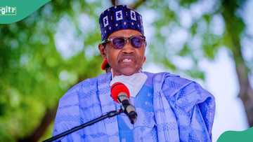 2023 presidential election: Garba Shehu speaks on Buhari's preferred candidate in trending video