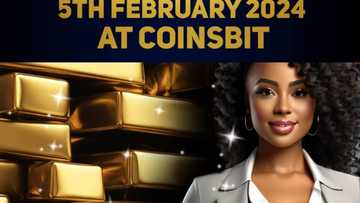 NewGold Token Is An Alternative To Bitcoin To Become The Most Expensive Crypto In The World