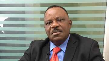 Peter Obi: Ex-APC presidential aspirant endorses Labour Party presidential candidate