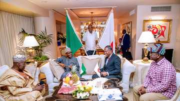 Buhari has had nothing to do with IPOB in Japan - Presidency