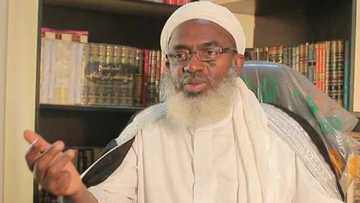 Do not call bandits criminals if you want them to surrender - Sheikh Gumi warns journalists
