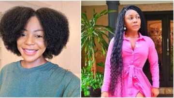 I stopped attending churches after preacher asked members to sow N50k seed for special blessing: Ifu Ennada
