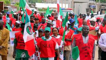 NLC gives Buhari until May 1 to sign new minimum wage bill