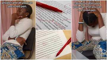 "He cancelled chapter 1 & 2": Lady prints project, lecturer marks everything with red pen