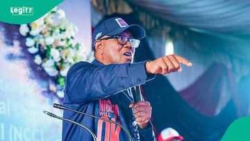 Peter Obi ya gano abin da ya haddasa rashin tsaro, ya samo hanyar magance matsalar