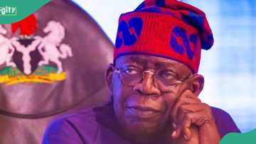 President Tinubu advises Nigerians living abroad to return to Nigeria, gives reasons