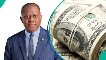 FG takes action to boost naira, targets Nigerians abroad with dollar-denominated bond