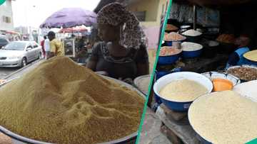 Dealers reduce prices of white, yellow garri, new rates emerge
