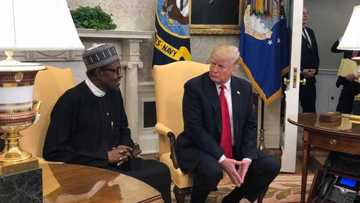 What I told Trump when he accused me of killing Nigerian Christians - Buhari makes powerful revelation