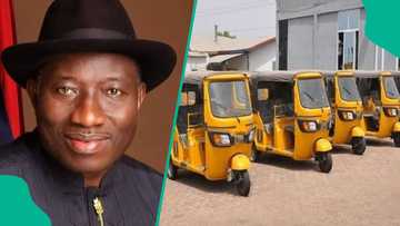 Goodluck Jonathan to launch Nigerian-made tricycles in Abuja, details emerge