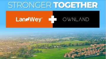 OwnLand, LandWey partner to redefine real estate investment through fractional land ownership