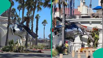 Huntington California crash: Panic as helicopter goes down on popular US beach, video trends