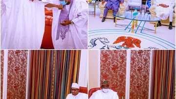 Buhari ya gana da GEJ, Bagudu, Badaru da Buni a Villa