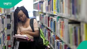 Why Nigeria should reduce its years of secondary and university education