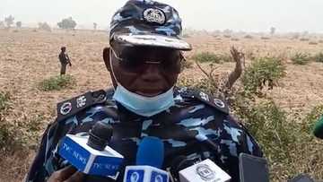 Yanzu Yanzu: Yan mata 317 aka sace daga makarantar GGSS a Zamfara, yan sanda