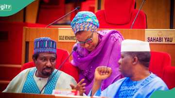 Constitution amendment: Federal lawmakers told to return Nigeria to regional govt, details emerge