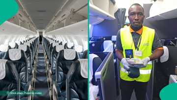 Cleaner returns purse with $730 and credit cards he found while cleaning airplane, company reacts